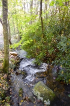 micro hydroelectric, solar power