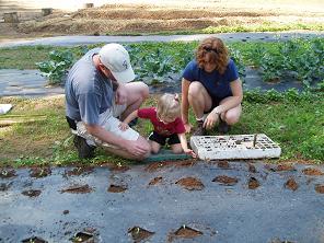 helping in the garden