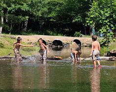 fun activities for the kids including trampolines, farm tour, and hay rides