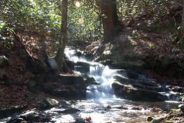 Near Helen Georiga, Hiawassee, Blairsville, Young Harriis, and Blue Ridge